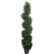 5ft Spiral Cedar Topiary Tree in Black Pot by Floral Home®